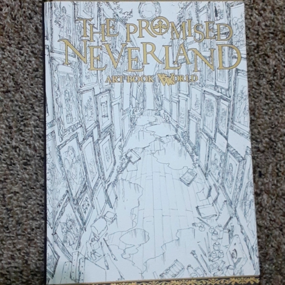 Large promised Nederland book (art book world)